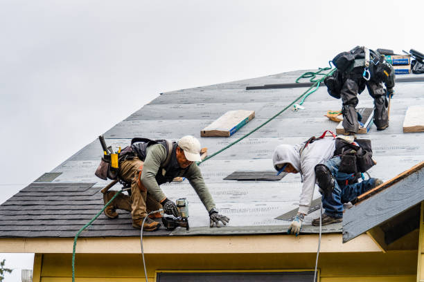 Professional Storm Damage Roof Repair technician working in Farley, IA